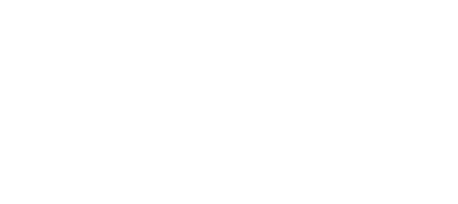 Cloudflare Immerse Logo